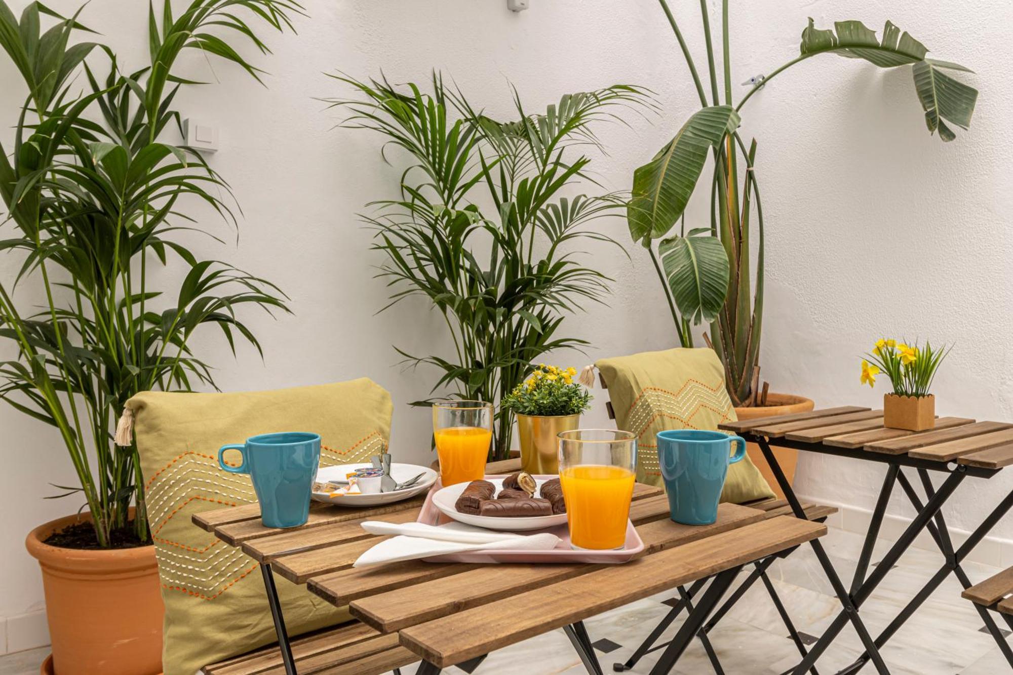 Casa Palacio La Lola Y Ole Gran Terraza Appartamento